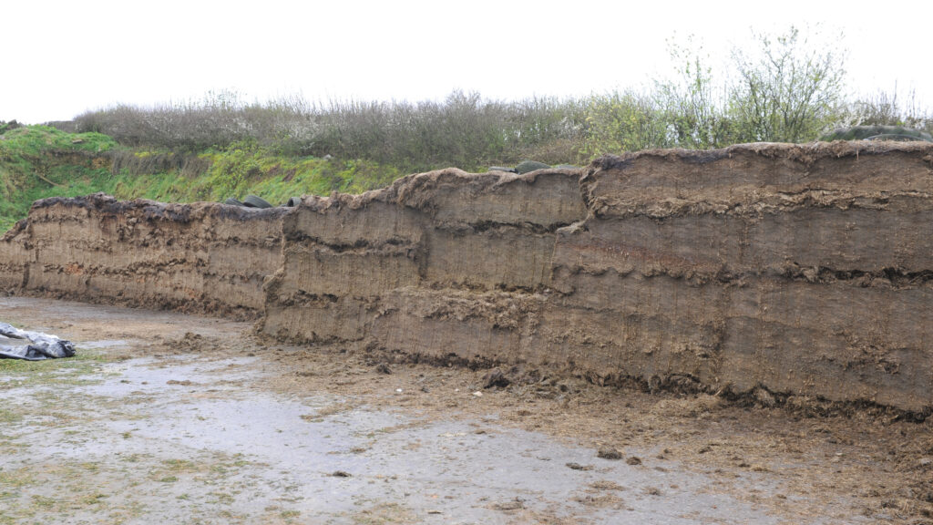 Silage clamp at Penygraig farm