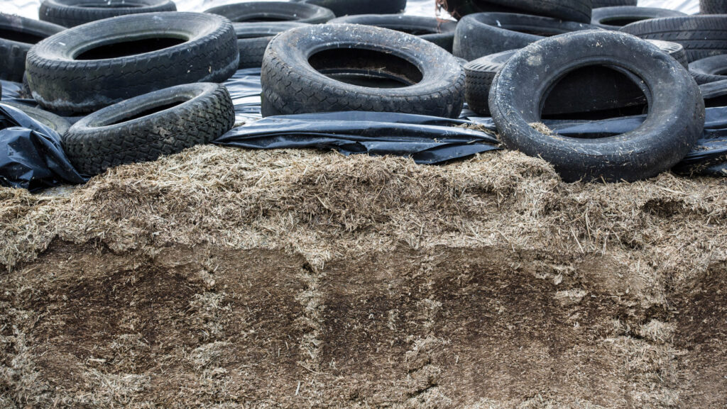 Silage clamp on a dairy farm