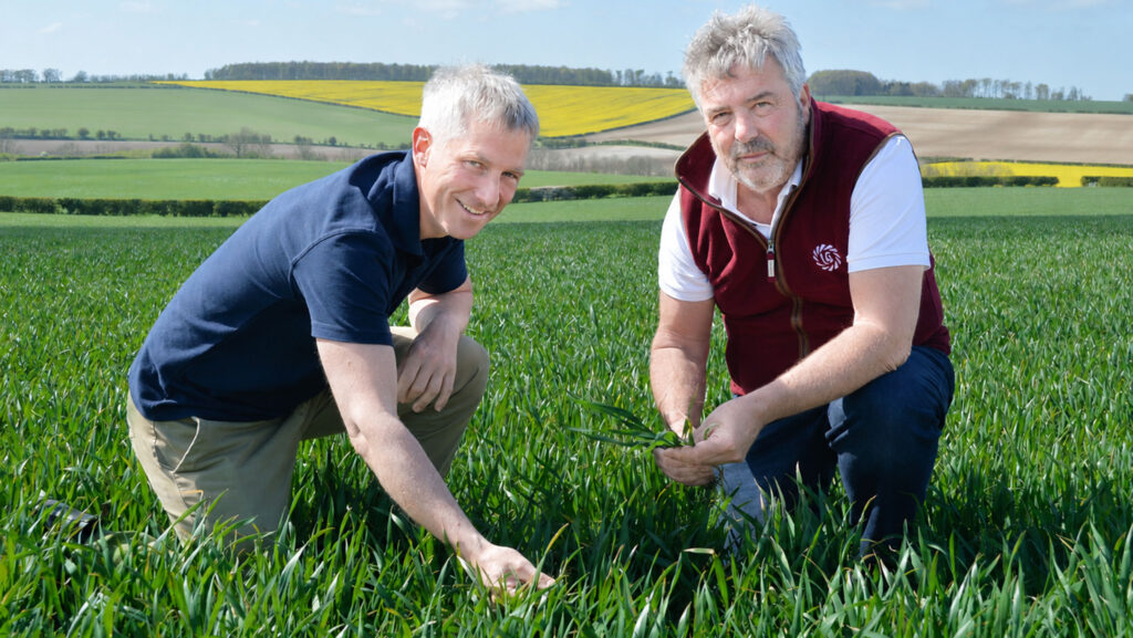Stuart Rowley of Mortimers (left) and Ron Granger of Limagrain (right) in a field of Challenger
