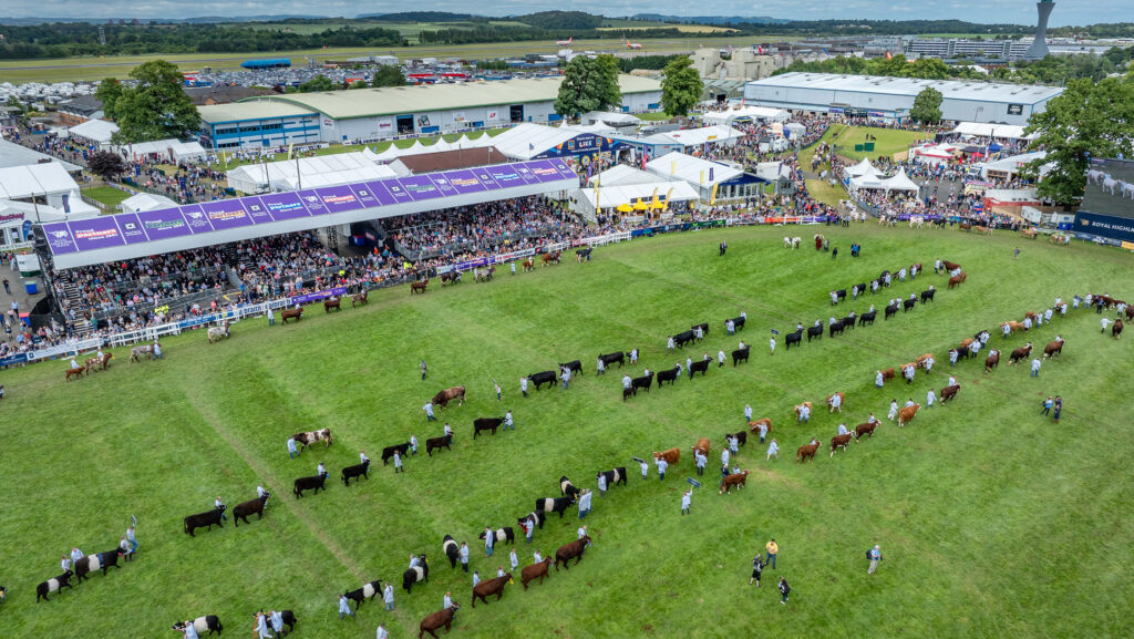 Main ring at Royal Highland Show