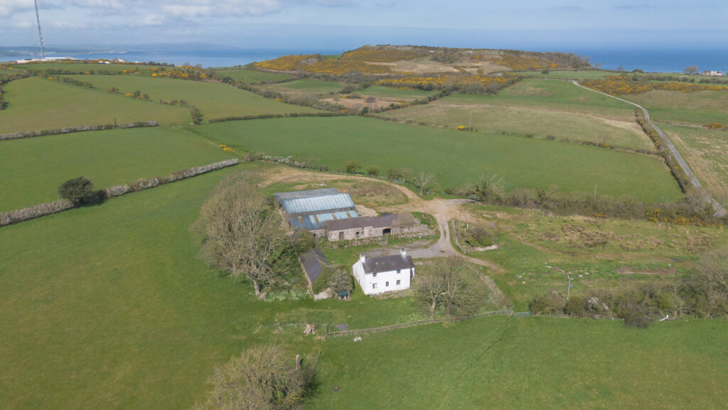 Tyn Llwyn farm