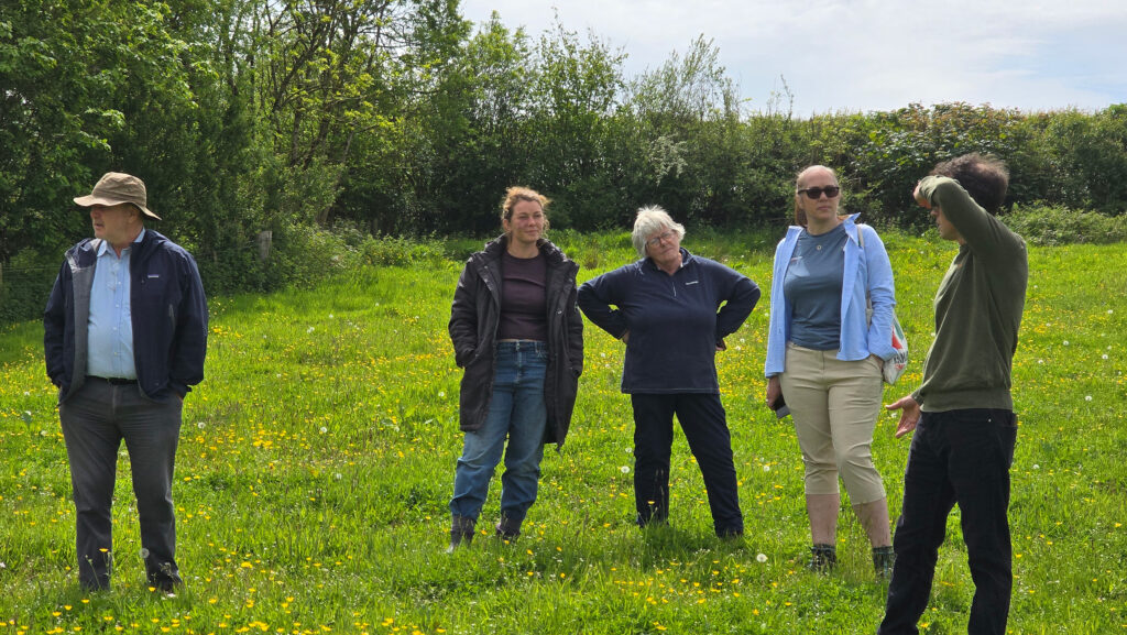 Visitors to Treberfedd