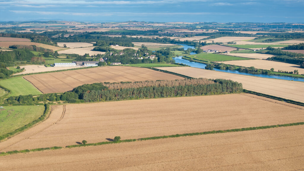 The Wark Estate © Savills