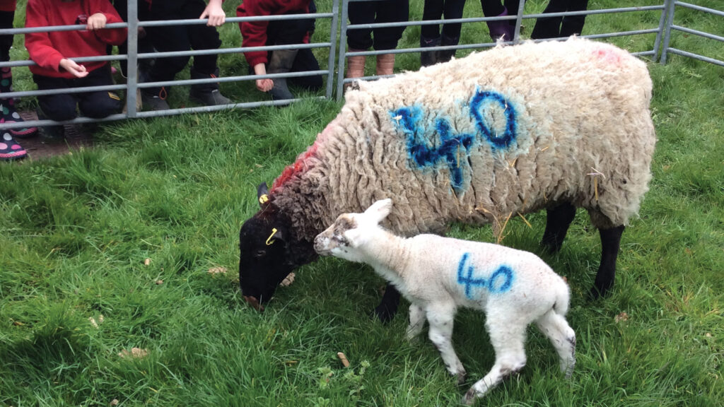 © South of England Agricultural Society