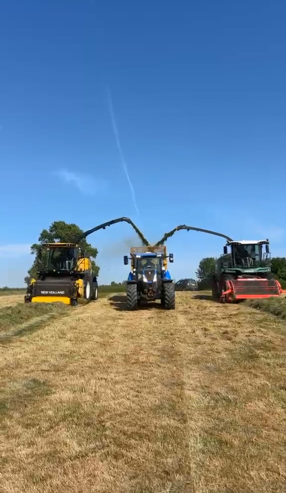 Silaging