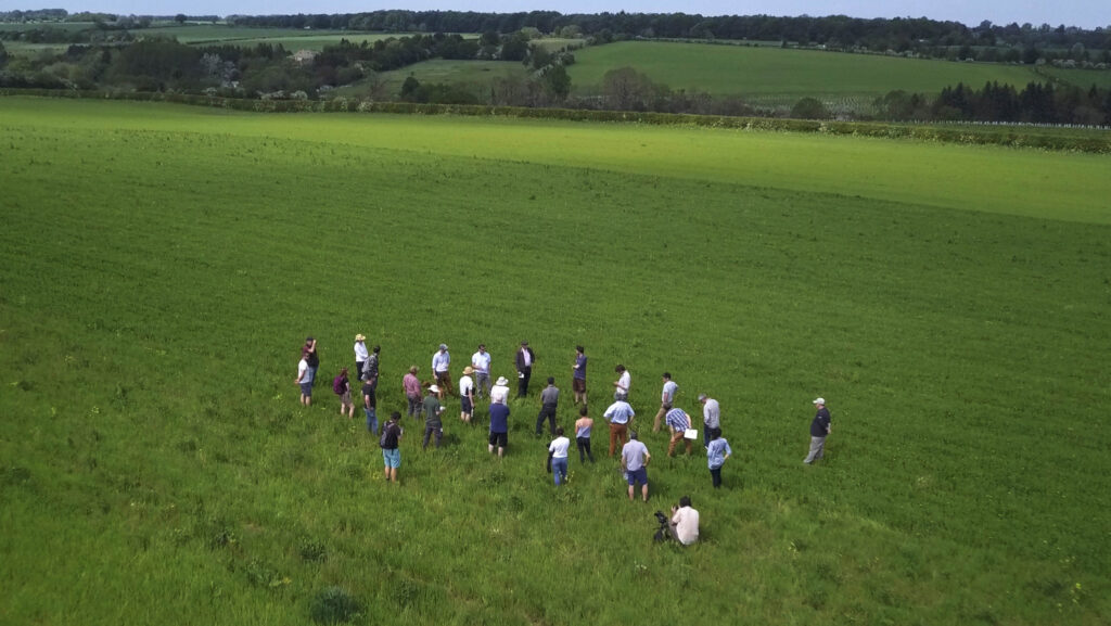 Farmers in field