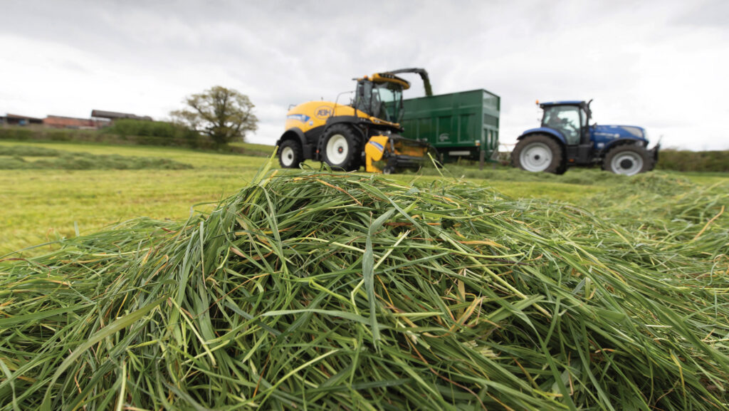 Contractors chopping grass silage