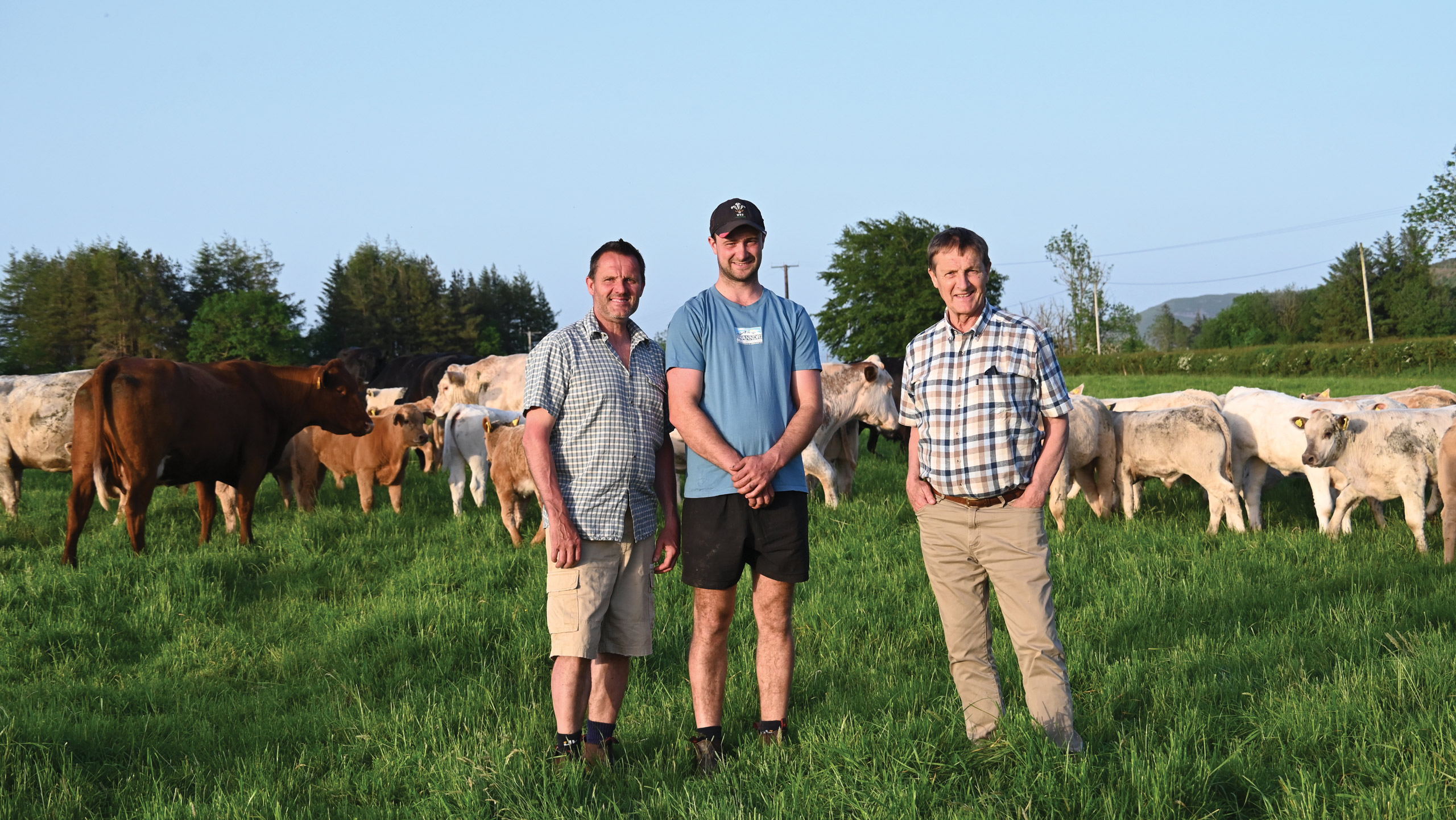 Gethin, Huw and Howell Havard standing in field with cattle