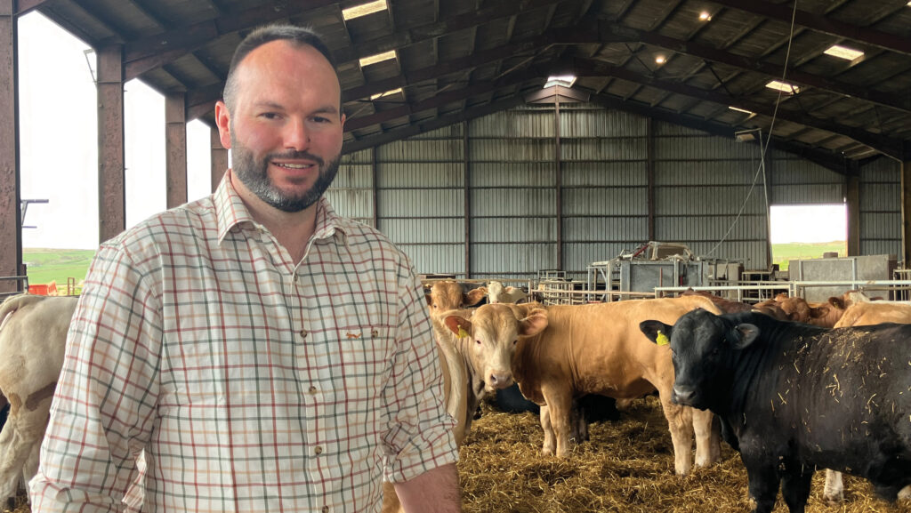 John Anderson and beef cattle