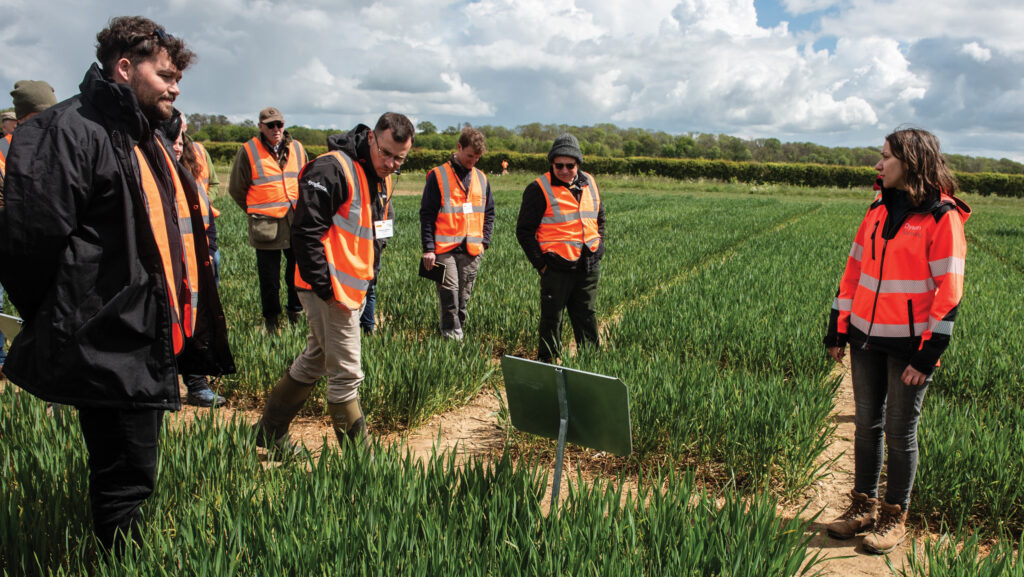 KWS at Arable Insights Live, hosted by Dysons Farming © Phil Weedon