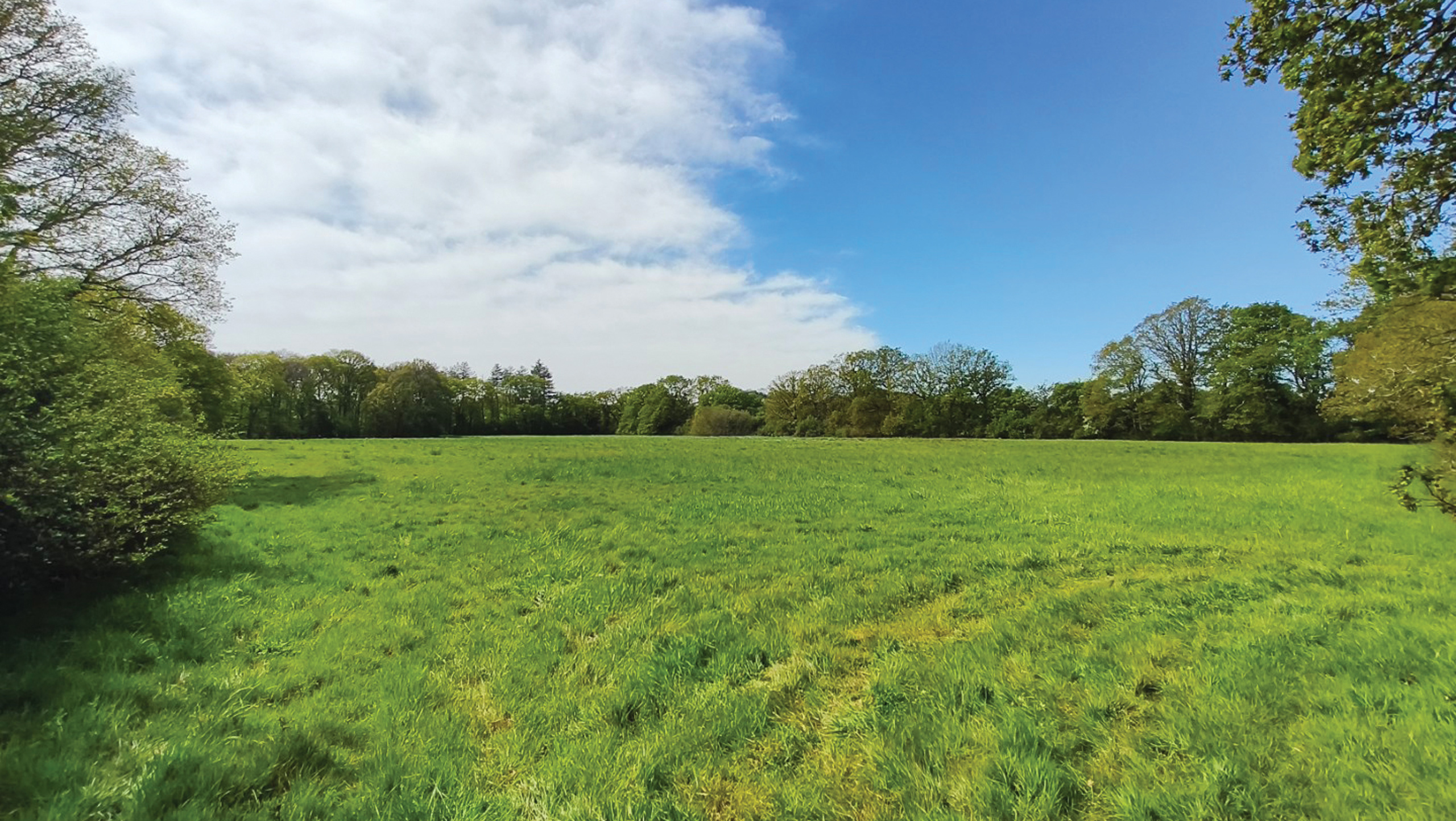 Land at Hayes-Farm