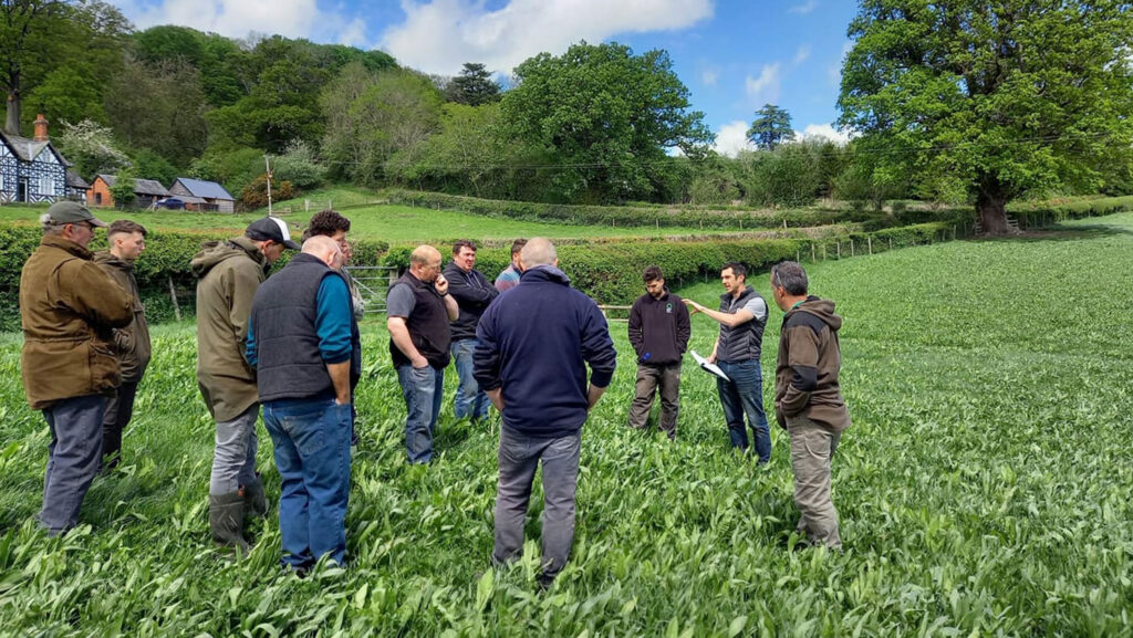 © Farming Connect