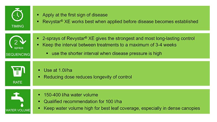 Revystar beet chart