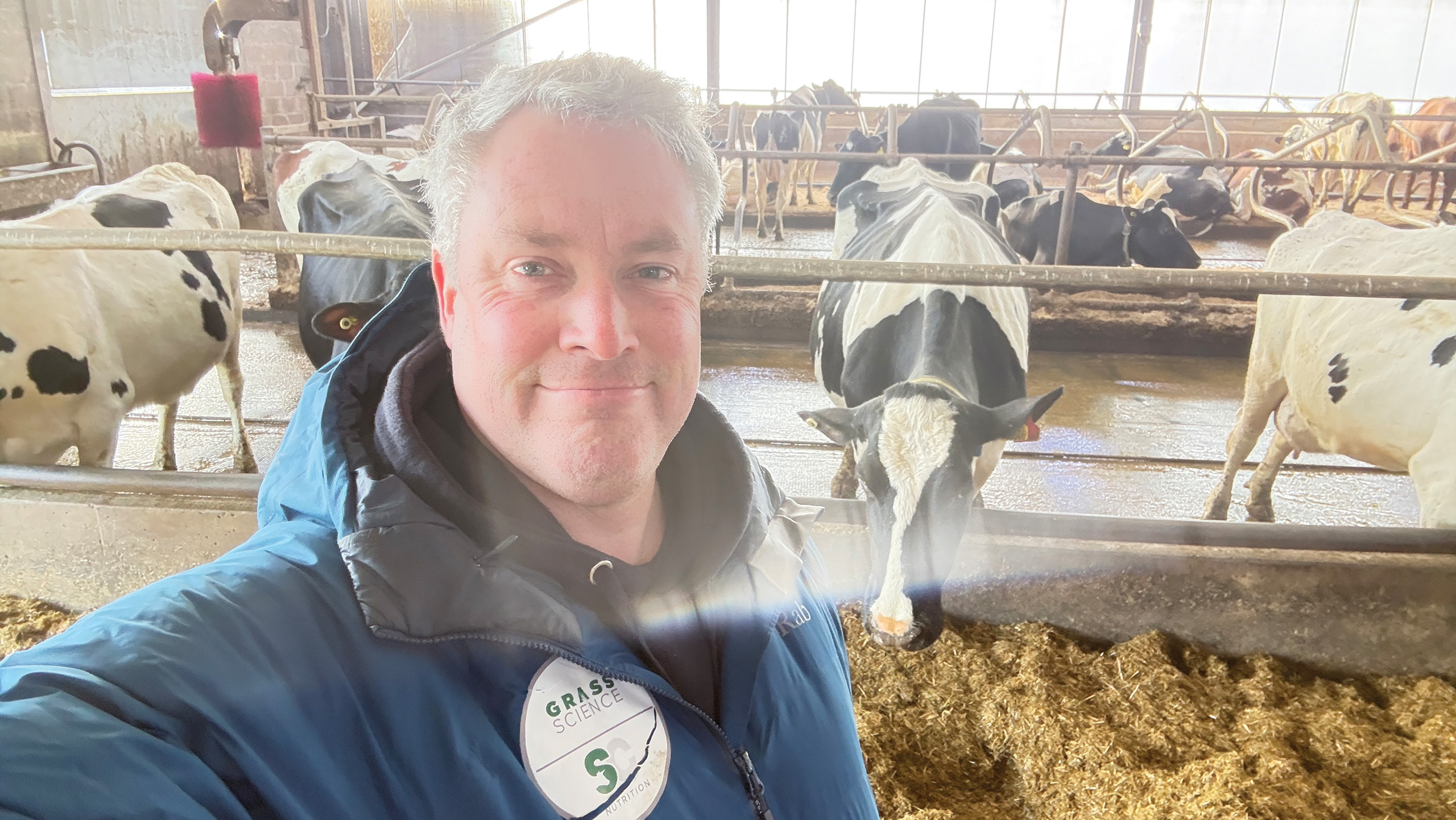 Stephen Caldwell in shed with cows
