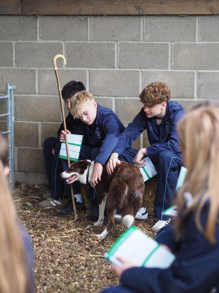 Student day at Hollow Trees Farm