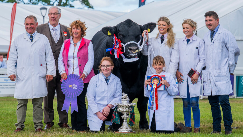 Supreme beef champion
