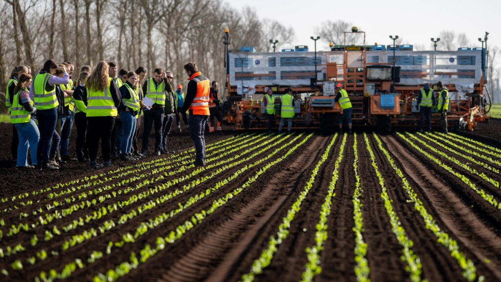 Tesco Future Farmer Programme