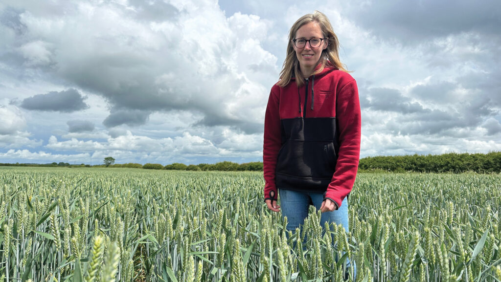 Woman standing in a wheat field