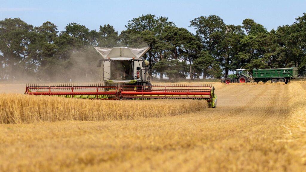 Winter barley harvest at Elveden Estate on the Norfolk-Suffolk border © Arthur Moody