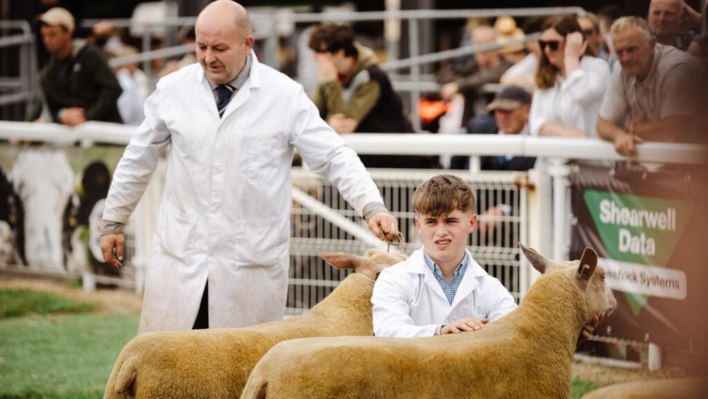 © Royal Welsh Agricultural Society