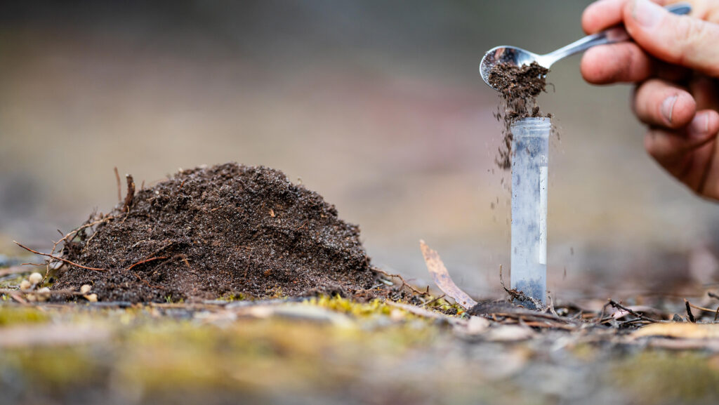 © Adobe Stock
