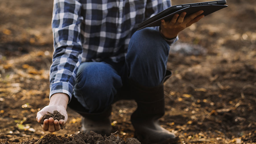 Person holding soil