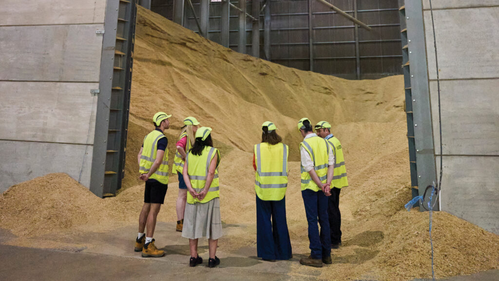Camgrain's vast shed, which holds 70,000t of the co-op's grain