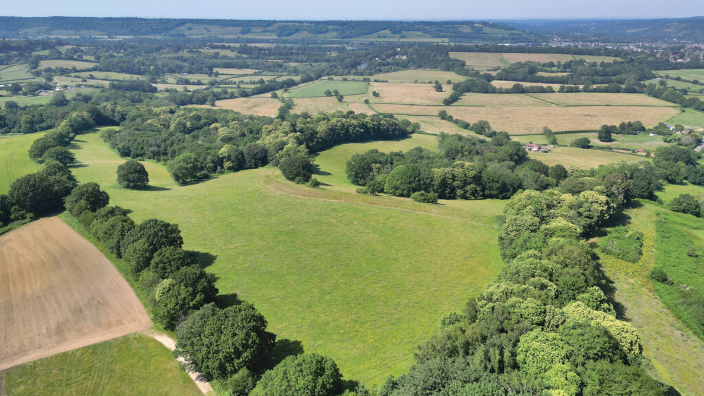 Chadhurst Farm © Savills