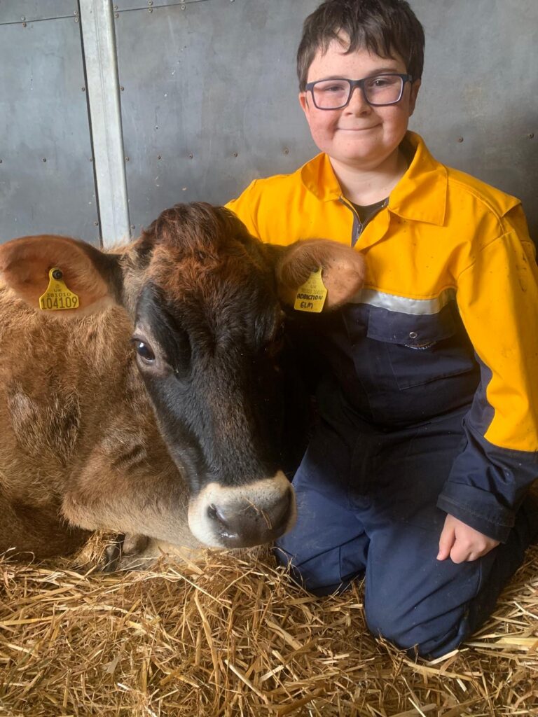A boy and a cow