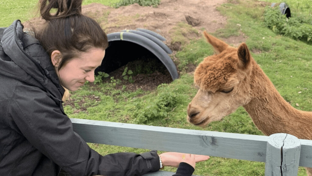 Children's adventure farm trust