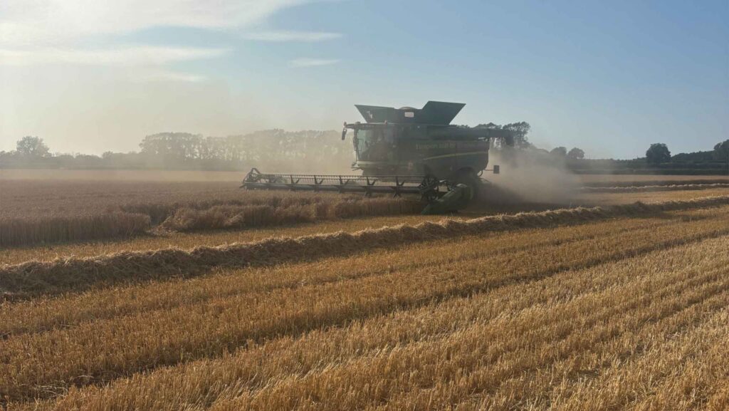 Combining at Fransham Farms in Norfolk © Will Mallon