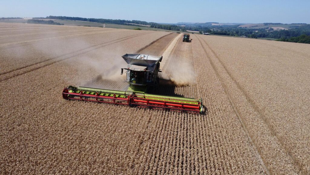 Cutting winter wheat at Stratton farms