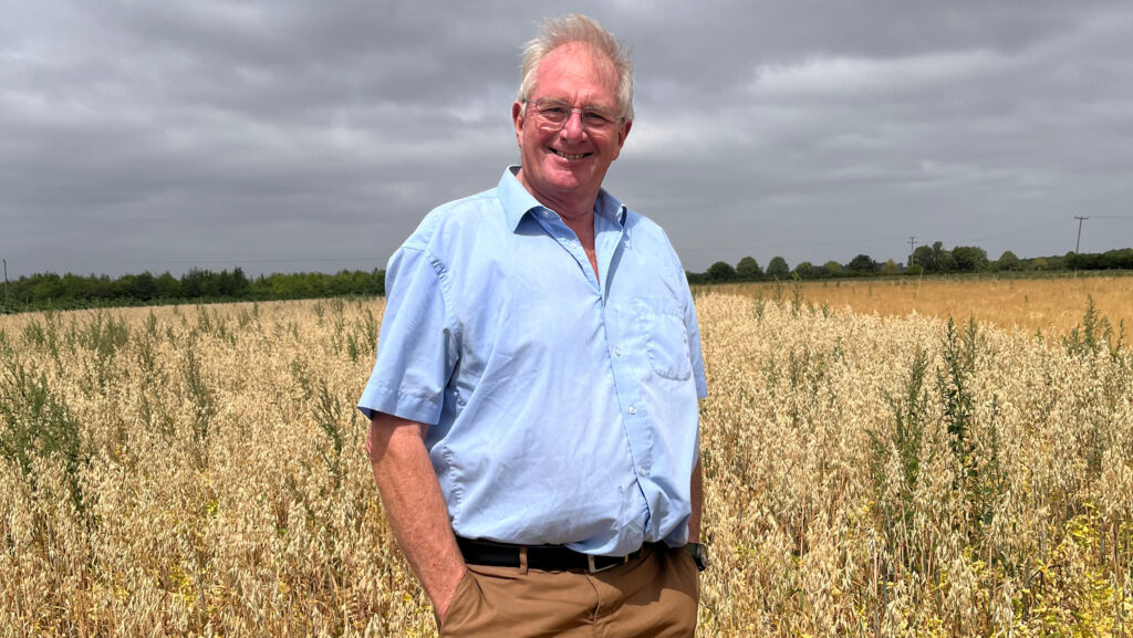 David White standing in a chickpea crop