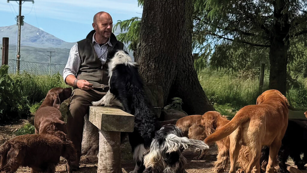 © Working and Gundog Rehabilitation Rescue Service