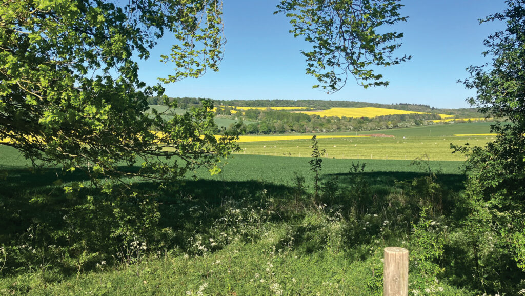 General view of David Passmore's farm