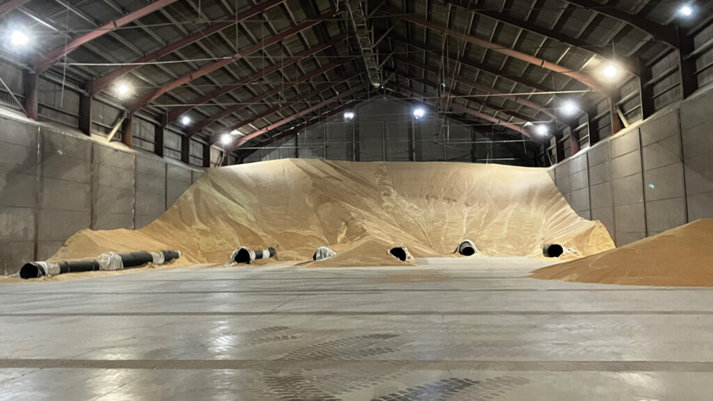Grain store