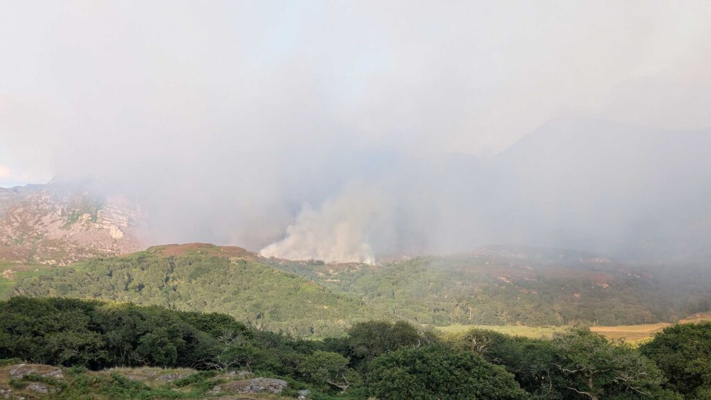 Fire as seen from the farm