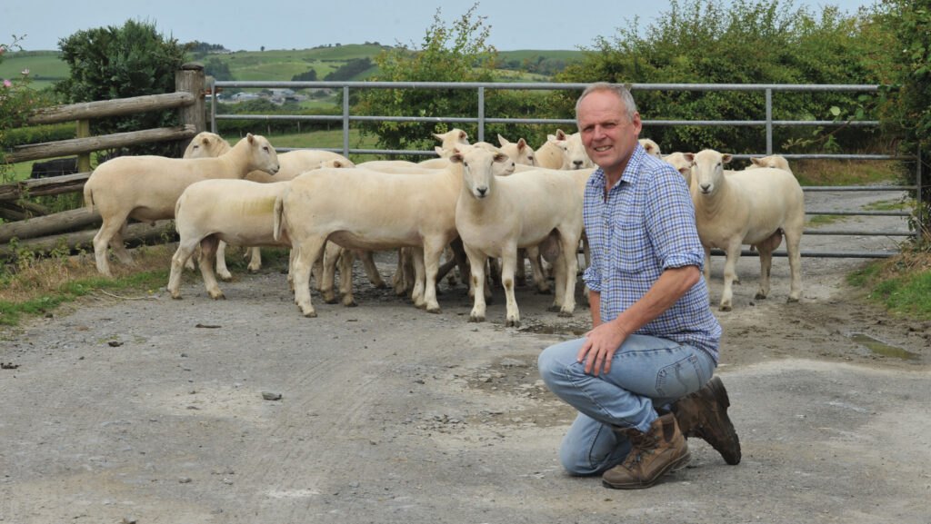 John Davies with EasyCare sheep