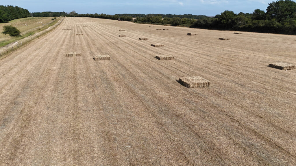 Land at West End Farm
