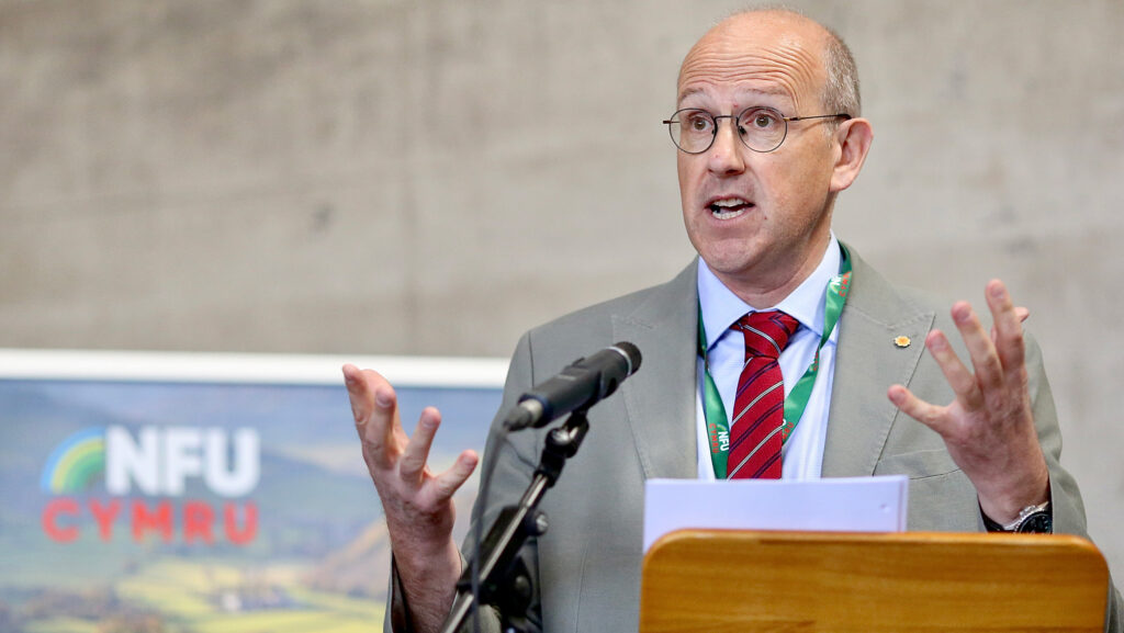 Llyr Gruffydd speaking from podium