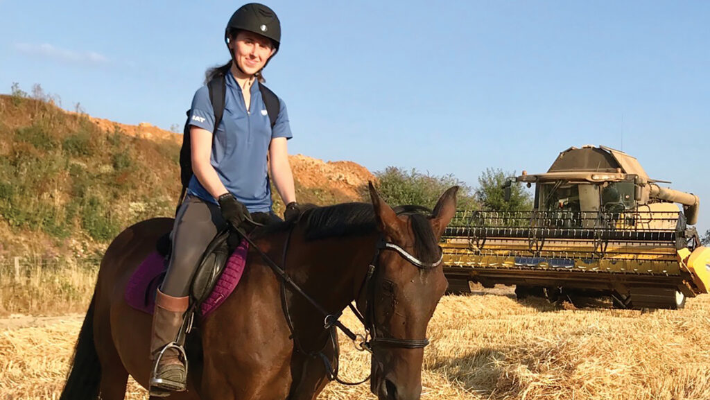 A person on a horse