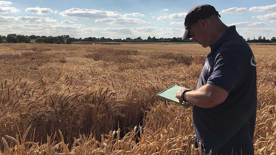 PH in field