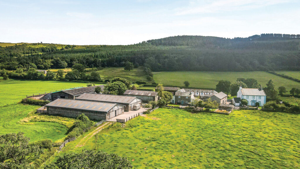 Prospect Farm