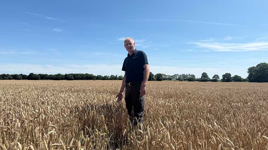 Shane Durham standing in field of wheat