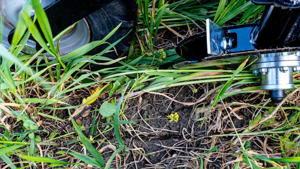 Close-up of drill going into a cover crop