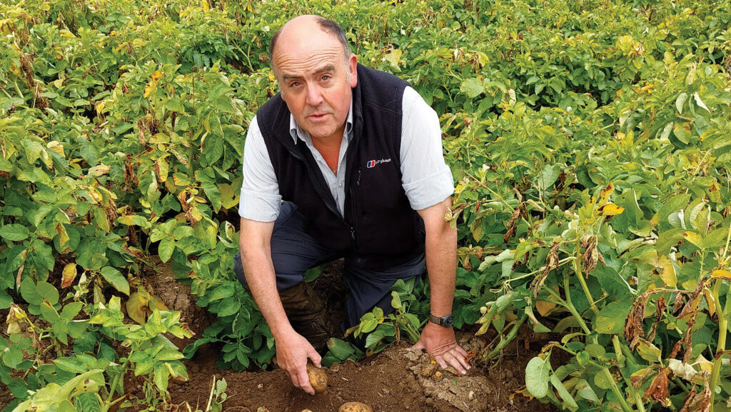 Simon Alexander in potato crop