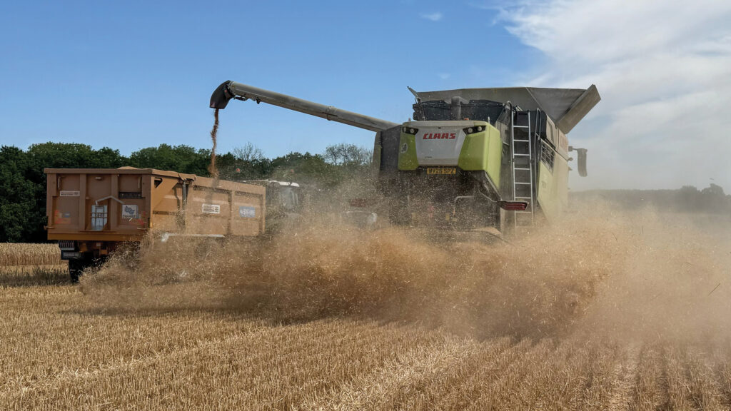 Straw spreader