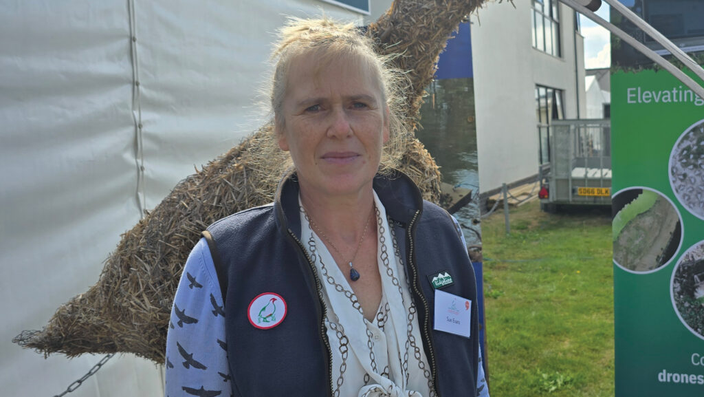 Sue Evans