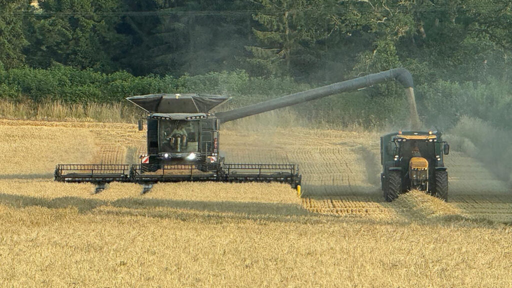 The winter barley harvest at Dawson Farms, Northallerton © Dawson Farms