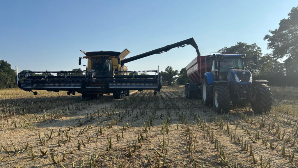 Harvest at Hatton Farm